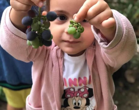 Bahçecilik Atölyesi