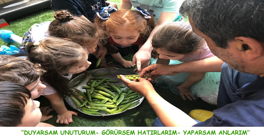 3-6 yaş atölye çalışmaları