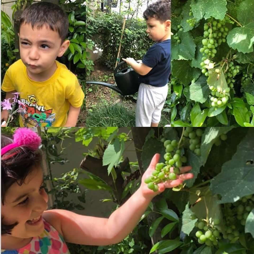 2-3 Yaş Kreş Programı